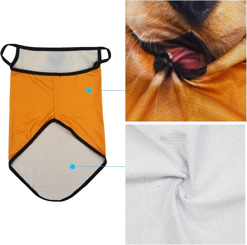 Obacle Bandana Face Mask with Ear Loops Neck Gaiter Face Mask Scarf Face Cover for Men Women - Image 3